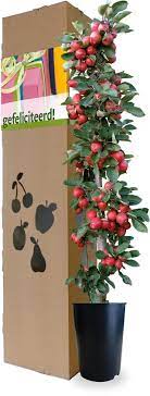 7x Ideeen 12 5 Jaar Getrouwd Cadeau Koperen Huwelijk Cadeaucrisis