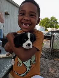 Happy Birthday Koban! 🥳🥳