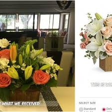 Maybe you would like to learn more about one of these? Boynton Villager Florist 26 Photos 19 Reviews Florists 1403 W Boynton Beach Blvd Boynton Beach Fl Phone Number Products Yelp