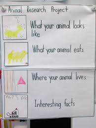 Joyful Learning In Kc Animal Research Writing Kindergarten Writing Research Writing Writing Workshop