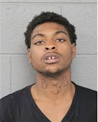 ᐅ Illinois Criminal Records 2009-2025