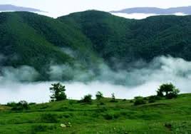 گلستان ما - تصاویر/ جنگل 190 میلیون ساله ایران واقع در گلستان را ...