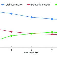 Image result for Body Composition Changes with Aging
