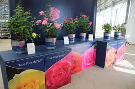 Maybe you would like to learn more about one of these? Storytelling At The Trials Greenhouse Product News