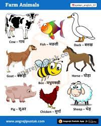 A To Z List Of Animals Name In English And Hindi Types Of Animals
