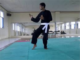 Maybe you would like to learn more about one of these? 7 Teknik Dasar Pencak Silat Beserta Gambarnya Dan Video