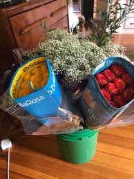 Boston wholesale flowers albany street. Boston Wholesale Flowers 540 Albany St Boston Ma Florists Mapquest