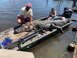 The john deere dealer is the first line of customer parts service. Hunters Nab Giant Minutes After Ms Alligator Season Opens Wkrg News 5