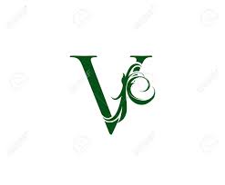 Vintage Green V Letter Floral Logo Vintage Drawn Emblem For Book Design Weeding Card Brand Name Business Card Restaurant Boutique Hotel Royalty Free Svg Cliparts Vectors And Stock Illustration Image 143741398