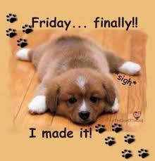 Top 30 Funny Quotes Friday Viral Lady Its Friday Quotes Dog Quotes Funny Funny Good Morning Quotes