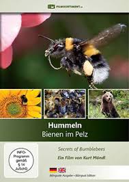 Film Hummeln Bienen Im Pelz Video Download Dvd