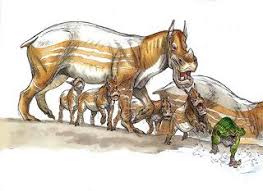 Furahan Biology And Allied Matters Wildlife In The Star Wars Universe Star Wars Universe Science Fiction Art Star Wars