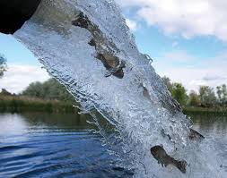 The tree book can record the growth process of your tree. Fish And Game To Restock Popular Fishing Locations In Eastern Idaho Through September East Idaho News