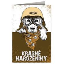 Image result for animovan  p%u0159 n  k narozenin m