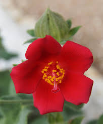 Counties zip code 76705 2010 census demographics. The Homestead Heritage In Waco Texas Wanderwisdom