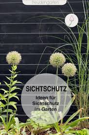 Sichtschutz Im Garten Ideen Zu Materialien Und Pflanzen Sichtschutz Garten Balkon Pflanzen Pflanzen