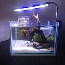 Untuk akuarium kecil, anda bisa memilih ikan zebra atau dwarf chain loach. Perawatan Ikan Aquarium Mini Art Shopee Indonesia