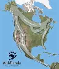 Wildlife Migration Corridors – Free Passage
