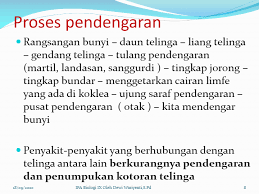 Check spelling or type a new query. Struktur Telinga Manusia Science Quizizz