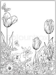 Wild tulips can be found throughout europe and asia. Composition With Spring Flowers Tulips Daffodils Violets Forget Me Nots In Botanical Style Stock Line Vector Illustration Outline Hand Drawing Coloring Page For Adult Coloring Book Vector Stock Images Page Everypixel