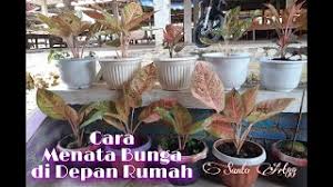 Lihatlah lalang, biji, kerucut, dan ranting. Cara Menata Pot Bunga Di Depan Rumah Youtube