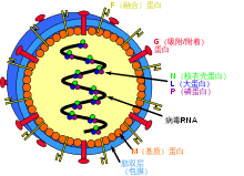 The site owner hides the web page description. Sq989gi4pvbism