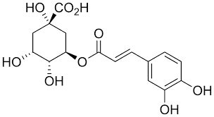 Un litro di caffè contiene fra i 500 e gli 800 mg di acido clorogenico, ma in ogni caso la tostatura diminuisce la biodisponibilità di questo elemento. Acido Clorogenico Wikipedia