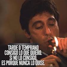 16 ideas de Frases divertidas