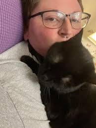 Lost cat in Calhoun County Michigan