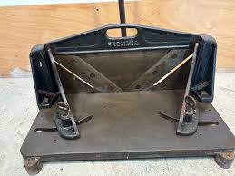 Image result for Frommia