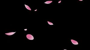 Also leaves falling gif png available at png transparent variant. Aesthetic Heart Gif Transparent Background Novocom Top