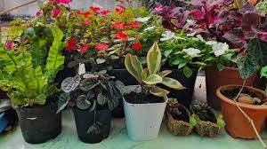Check spelling or type a new query. Denver Co Flower Delivery Emsik