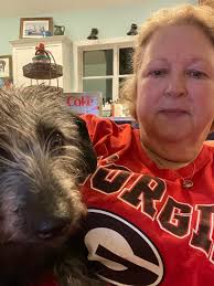 How to stop excessive barking in a 5-month-old piper?