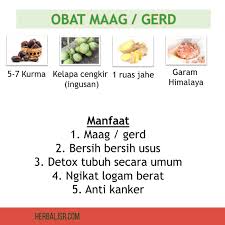 Semua produk yang memakai minyak goreng tidak diperbolehkan. 5 Resep Maag Jsr Obat Gerd Masalah Lambung Herbaljsr Com
