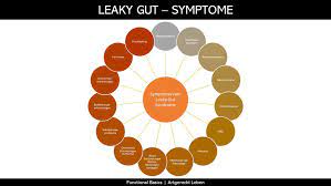Wie Schaut Eine Leaky Gut Ernahrung Aus Functional Basics Gesundheitistfuralleda