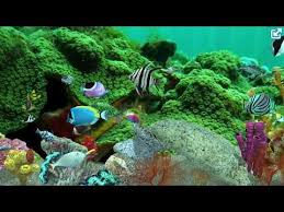 Fish Farm 3 My Saltwater Assorted Tank Youtube In 2020 Fish Farming Fish Farm