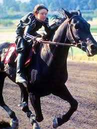 Black stallion is a 2010 malayalam film directed by pramod pappan. Pin On Horses