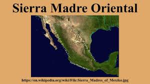 She was a beautiful responsive creature and mixed well with the calming atmosphere. Sierra Madre Oriental Youtube