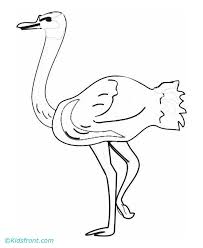 Printable funny ostrich in the pilots hat coloring page. Ostrich Coloring Page Coloring Home
