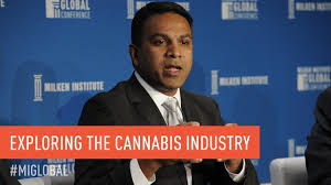 Zhao wei filled sighed axun, this is fate some things with are forgotten desperately, cannabis but they cant oil be forgotten in the end what i didnt. Thc Vaping Crisis Juul Marijuana Sibling Pax Labs Faces Scrutiny