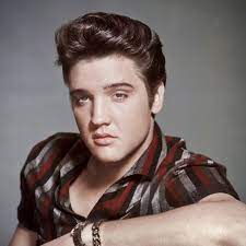 She's reportedly been blowing his phone up all day every day since shooting began on elvis. Elvis Presley Body Pillow Pixers We Live To Change