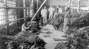 Kerja rodi tidak diberi gaji. Sistem Pelaksanaan Tanam Paksa Pada Penjajahan Belanda 2021 Poskata