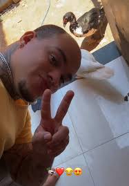 Person Interacting with Ducks in a Domestic Setting