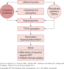 Image result for Hyperparathyroidism