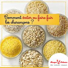 Manger A Cotonou Astuces Manger A Cotonou Les Charancons Sont Des Petits Insectes Noirs Qui Se Nourrissent Des Cereales Riz Avoine Haricots Secs Farine Pour Les Eloigner Mettre A L Interieur Les