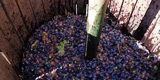 Acum că știi cât zahăr se pune la vin, să vedem și când se adaugă această cantitate de zahăr! Vin De Casa Cum Se Obtine Si Cat Zahar Se Pune La Vin Sfatul Gradinavesela Ro