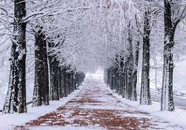 Tempat menarik di korea pada musim sejuk. Pengalaman Bercuti Di Korea