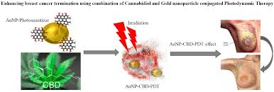 Mostly breast cancer is developed in women but sometimes men also could have breast cancer. Ijms Free Full Text Enhancing Breast Cancer Treatment Using A Combination Of Cannabidiol And Gold Nanoparticles For Photodynamic Therapy