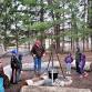 Campfire Cooking