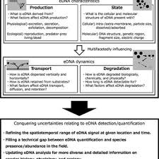 PDF) Linking the state of environmental DNA to its application for  biomonitoring and stock assessment: Targeting mitochondrial/nuclear genes,  and different DNA fragment lengths and particle sizes